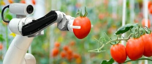 mindtalks-artificial-intelligence-role-of-ai-in-the-field-of-precision-agriculture-and-its-uses-analytics-insight-picked-by-mindtalks-768x427