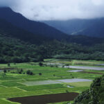 FOOD, AGRICULTURE & SELECTED REAL ESTATE